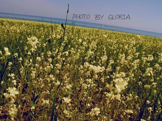 DSCN1470