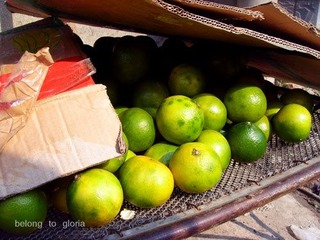 DSCN 029