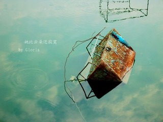 DSCN 232