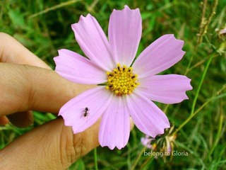 DSCN 135