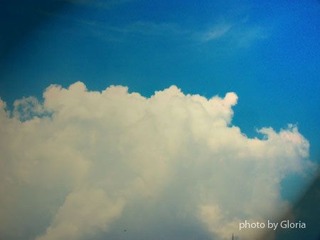 DSCN8510
