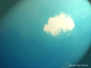 DSCN8508