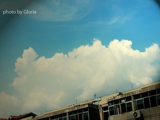 DSCN8507