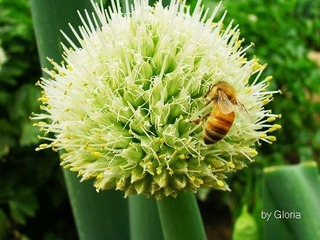 DSCN4940