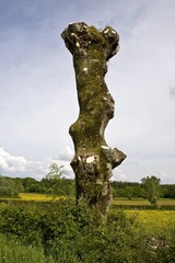 DSCN0308