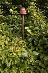 DSCN0301