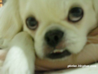 DSCN3489