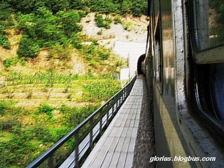 DSCN0225