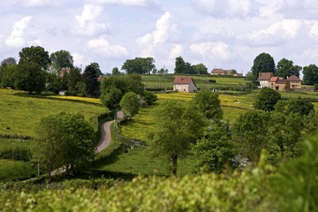 DSCN3696