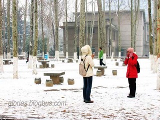 DSCN3670