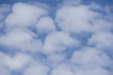 DSCN3403