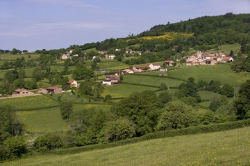 DSCN3401
