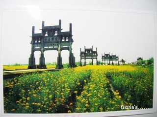 DSCN3398
