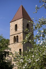 DSCN3394