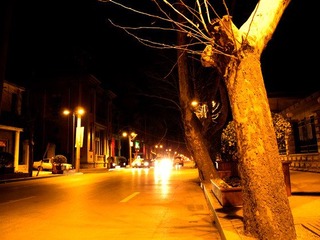 DSCN0416