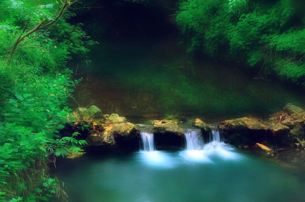 杭州灵隐寺门口一缕无人注意的小景，只要认真寻找，处处是美景，美在平凡处、美在你心中....