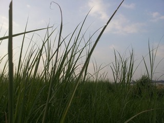 IMG_20130920_173433