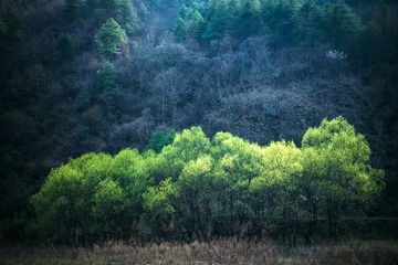 _DSC2271