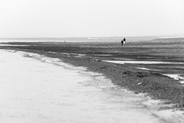 _DSC6001