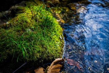 _DSC0904