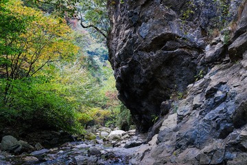 _DSC0940