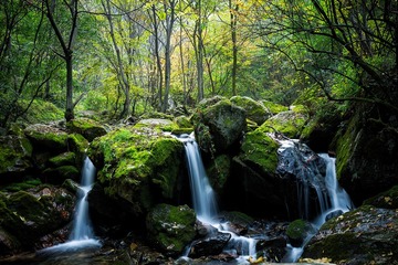 _DSC0952