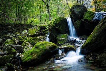 _DSC0949