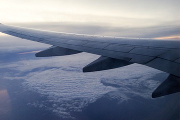 Fly