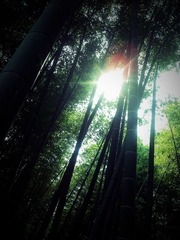 C360_2012-10-04-12-41-36