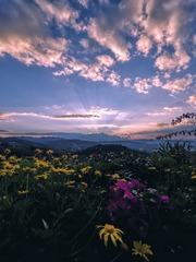 13B2AE72-2AE9-4DB4-948C-8B7A722E349D/L0/001