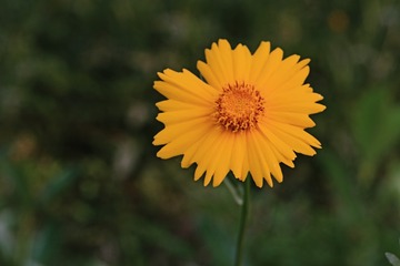 359801