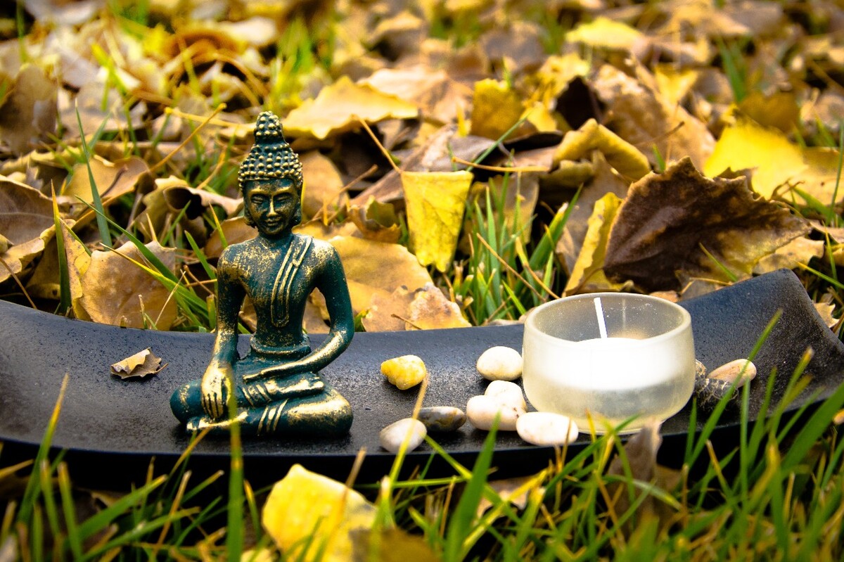 总是太在意结果，怕老师不喜欢，怕别人笑话，就算现在拍的很烂，但一直这么坚持下去，不断进步不也挺好吗？