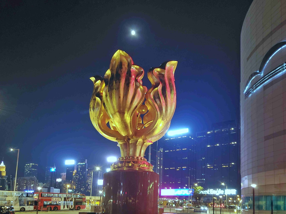 月夜金紫荆摄于香港金紫荆广场