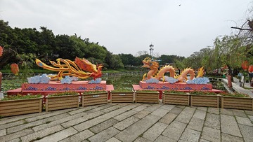 1000050359