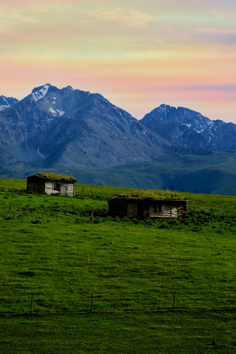 800_1200竖版 竖屏