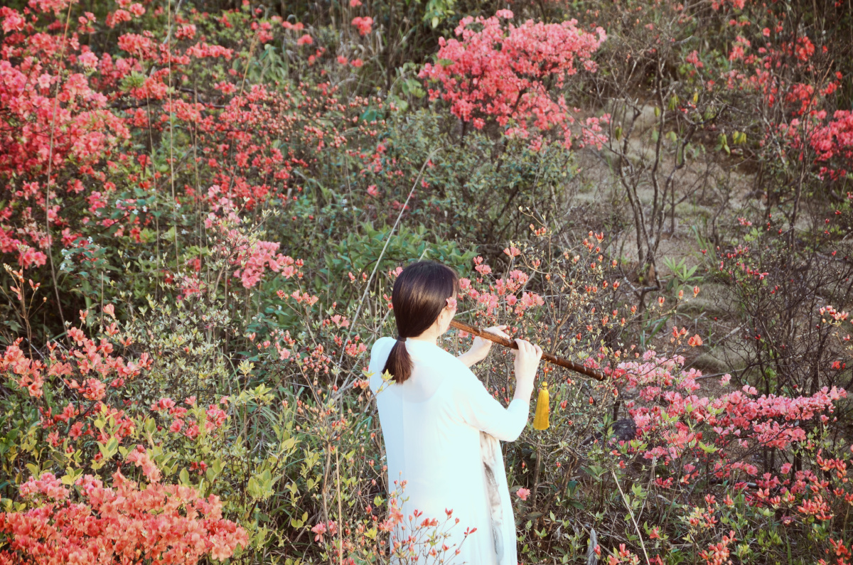 杜鹃花丛中的吹笛少女