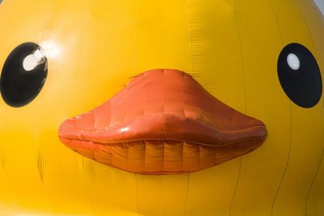 DSC_2012a