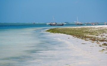 DSC_0757_DxO