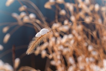 9129