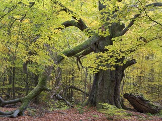 2DSC_4597