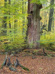 6DSC_4748