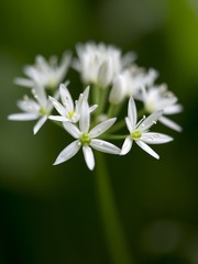 _DSC5577