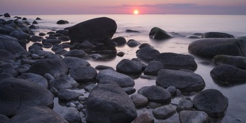 _DSC5581