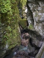 _DSC5644