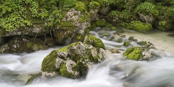 _DSC5645