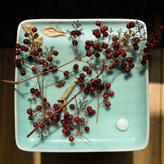 TUI_1698