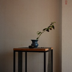 TUI_1704