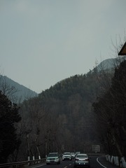 F2996F53-02FD-4A3E-8C1D-36ABD8C1197A/L0/001