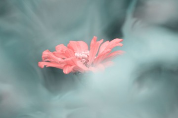 944905