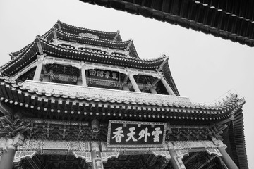 DSC01219_